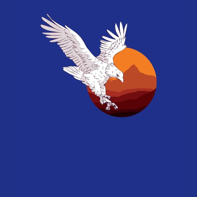 Eagle with sunset background Eagle with