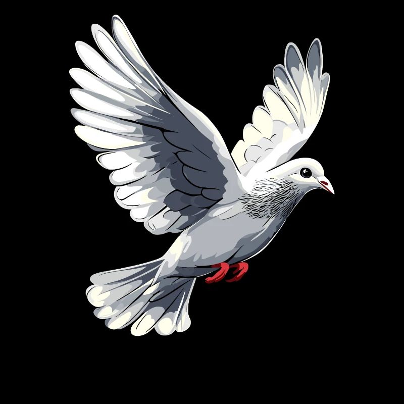Taube Weiß Frieden Peace Ringeltaube Weiße Tauben