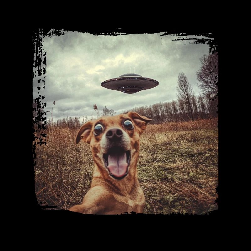 Funny Dog Selfie Ufo Meme Gift