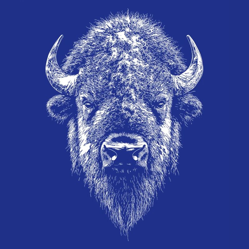 Bison, Bison, Bovins sauvages, Bison, Bison d’Amérique