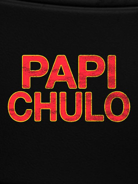 Papi Chulo