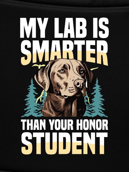 Jagd Mit Labrador