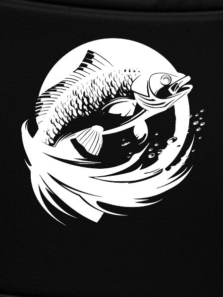 Fish Drawing