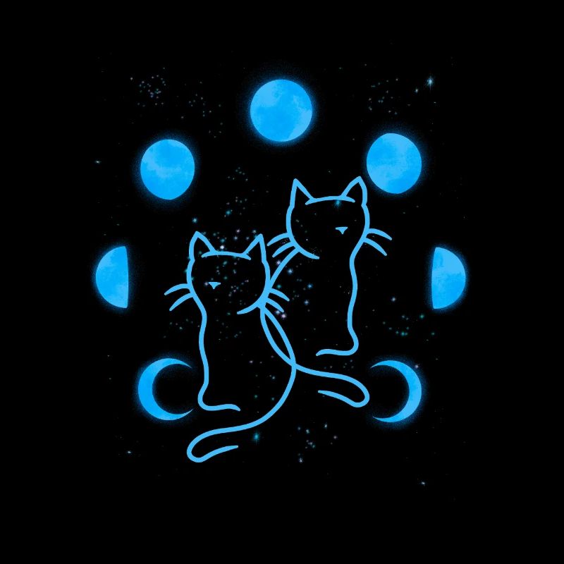 Chat Chats Lune Phases de Lune