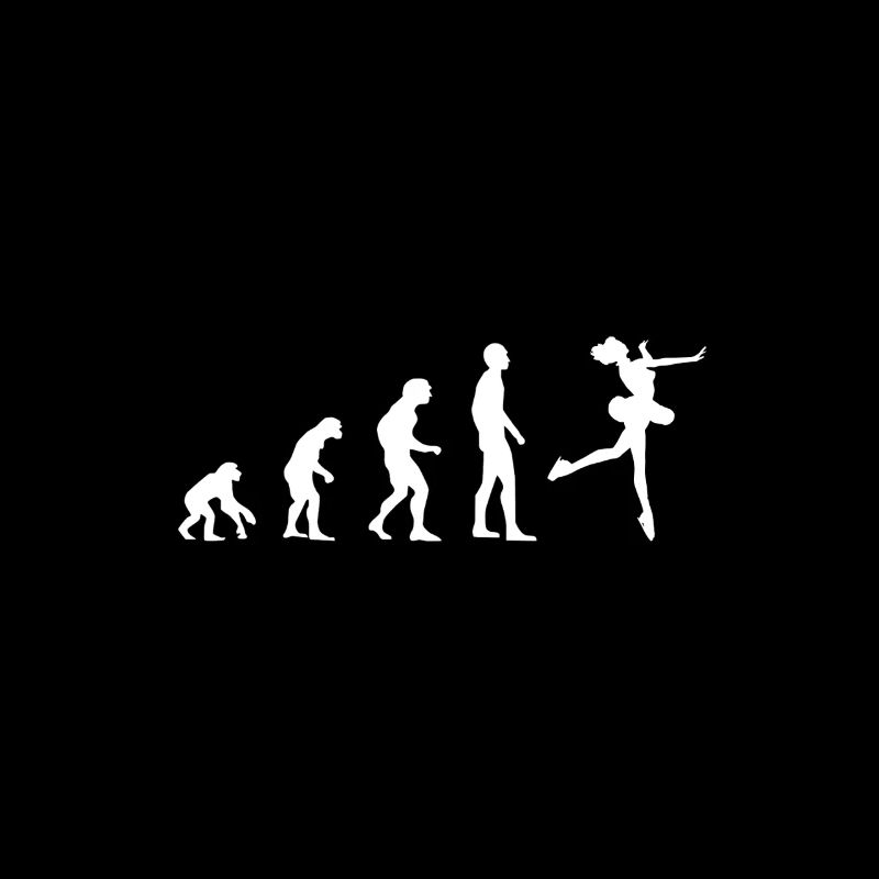 Evolution Figure Skating Hobby Sports Funny