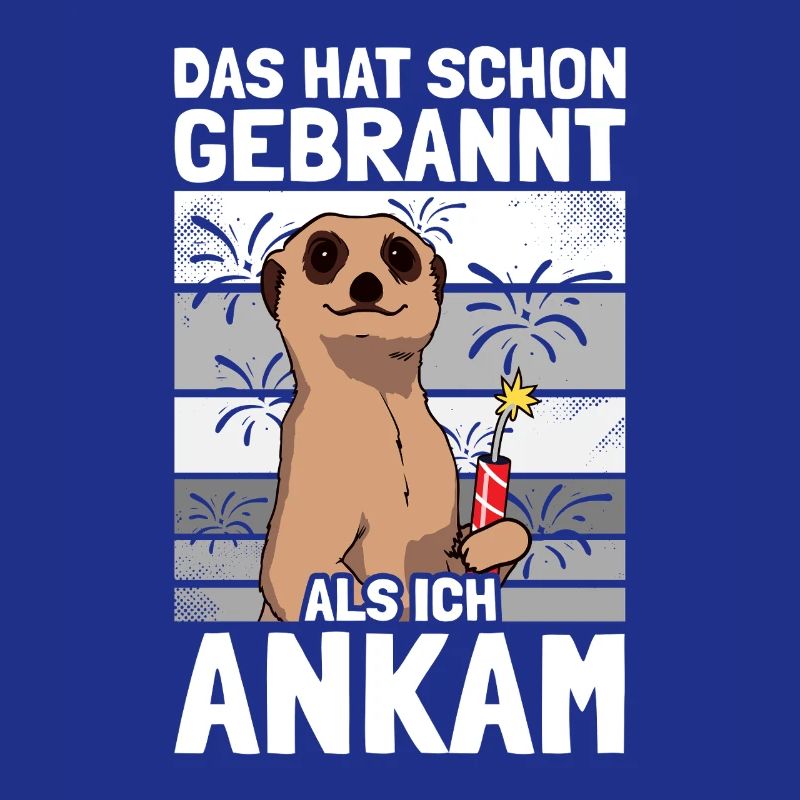 Has already burned, pyrotechnicians, fireworks, fireworks