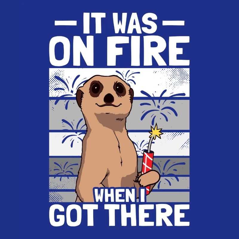 It was on fire: pyrotechnicians, firecrackers, fireworks