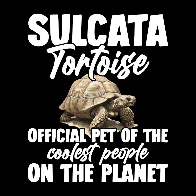 Sulcata Tortoise Offizielles Haustier Der Coolsten