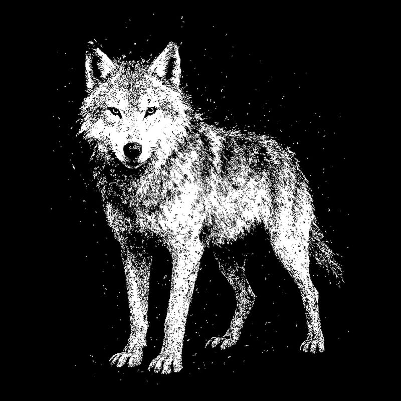 Wolf in voller Pracht