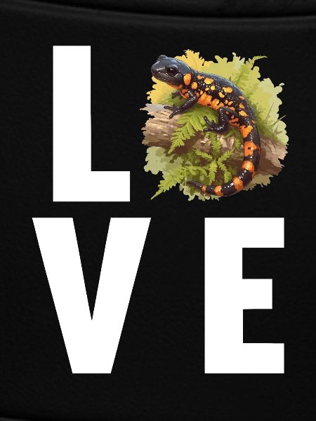 Salamanders Salamander