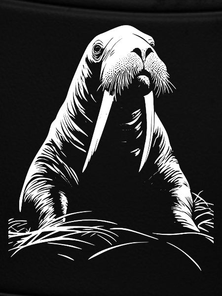 Walrus