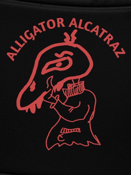 Alligator Alcatraz