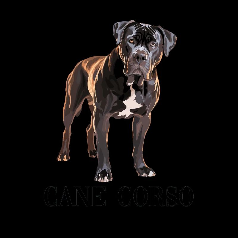 Cane Corso - Compagnon Canin Majestueux