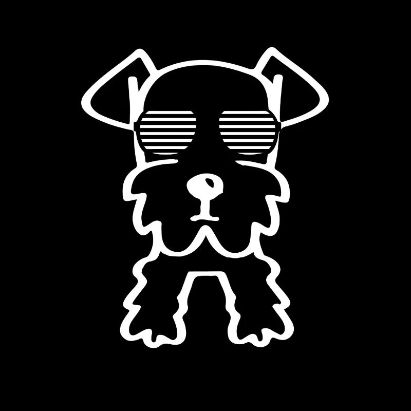 Schnauzer cool avec lunettes de soleil minimaliste