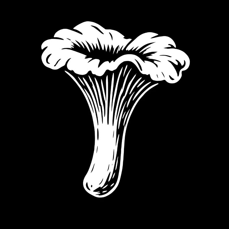 Cueilleur de chanterelles - Champignons - Dicton