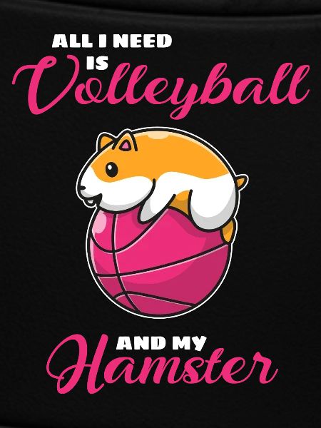 Hamster Volleyball