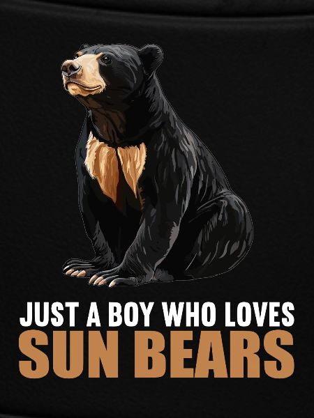 Sun Bear Malay Bear