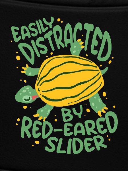 Red-eared Turtle