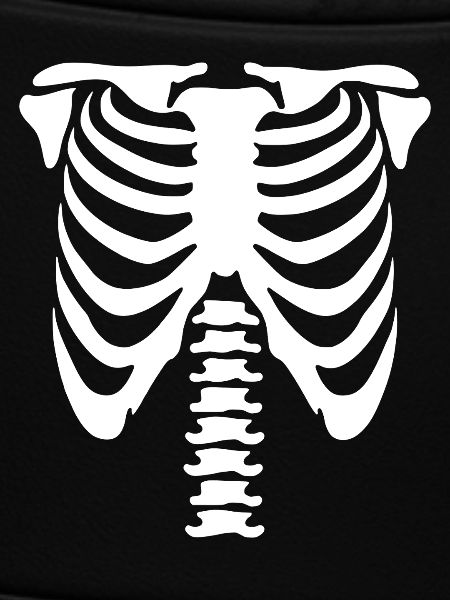 Skeleton Torso