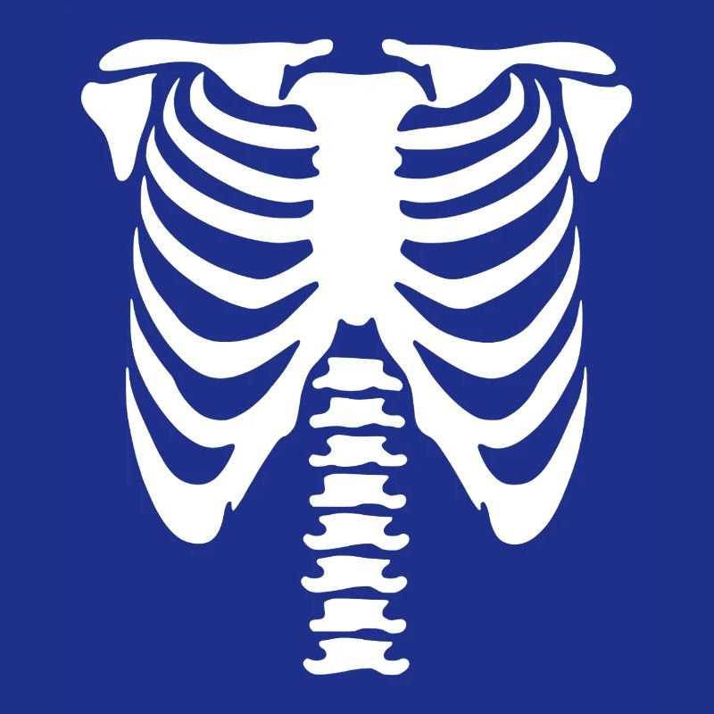 Skeleton Torso