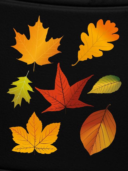 Herbstlaub