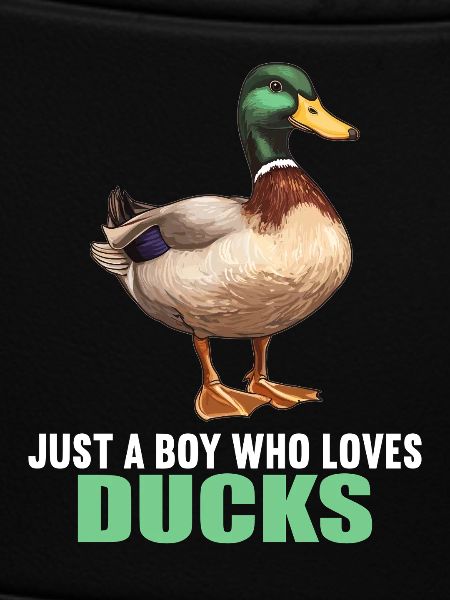 Ducks Duck