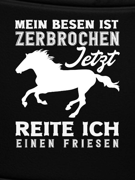 Pferdemädchen Reiten Friese Reiter