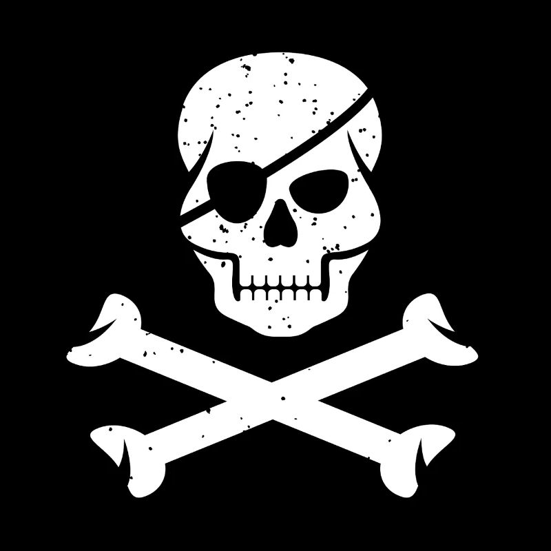 Nautic Design Skull and Crossbones Flag Pirate