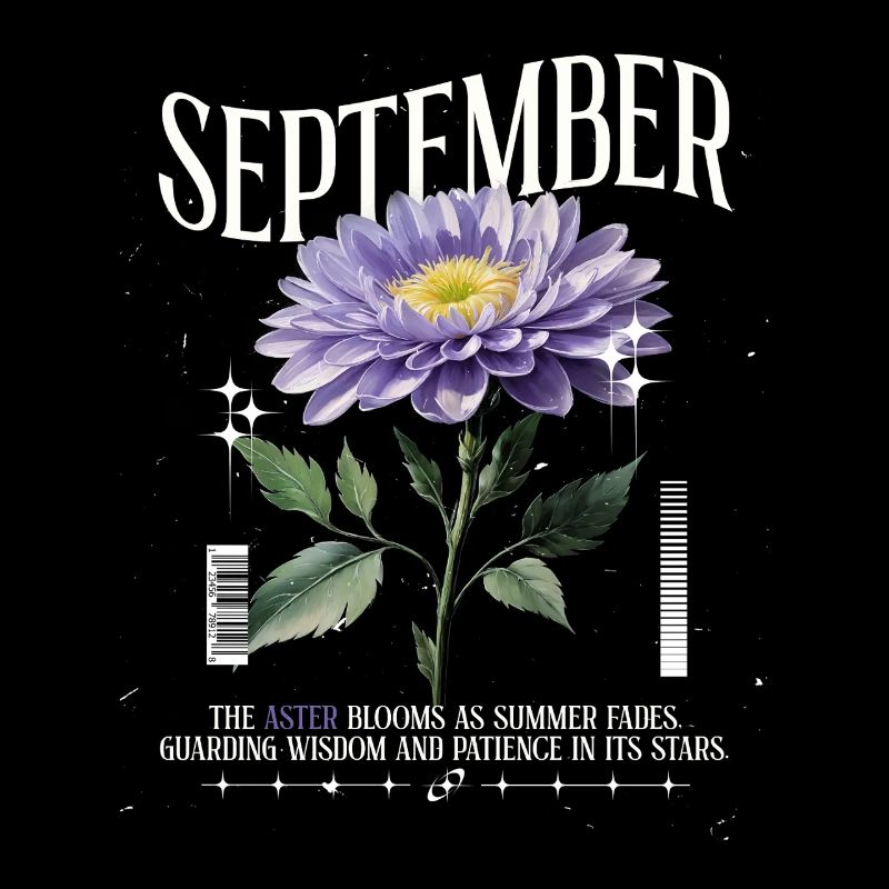 Naissance Fleurs Naissance Fleur Septembre Aster