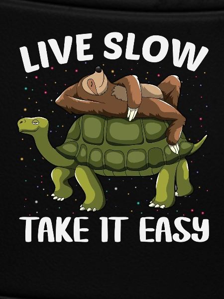 Turtle Sloth