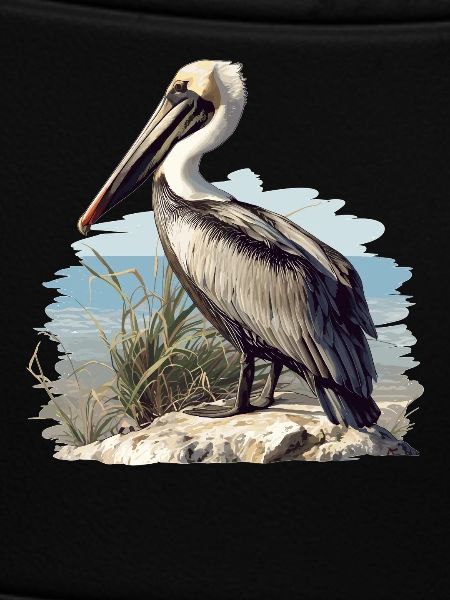 Pelicans Pelican