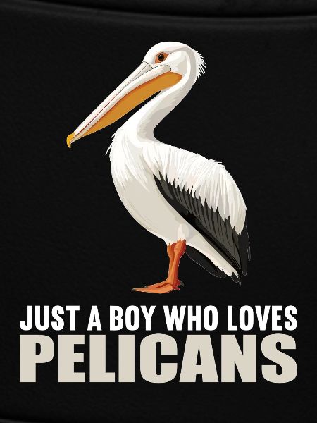 Pelicans Pelican