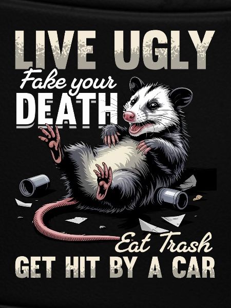 Funny Opossum