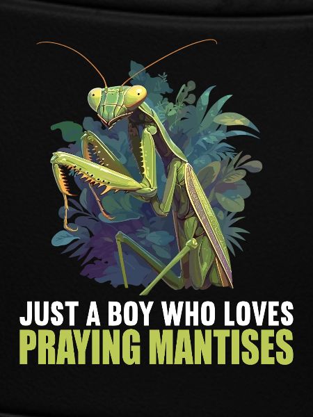 Praying mantises Praying mantis