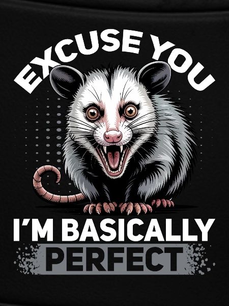 Funny Opossum