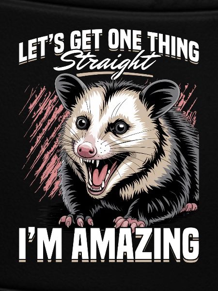 Funny Opossum