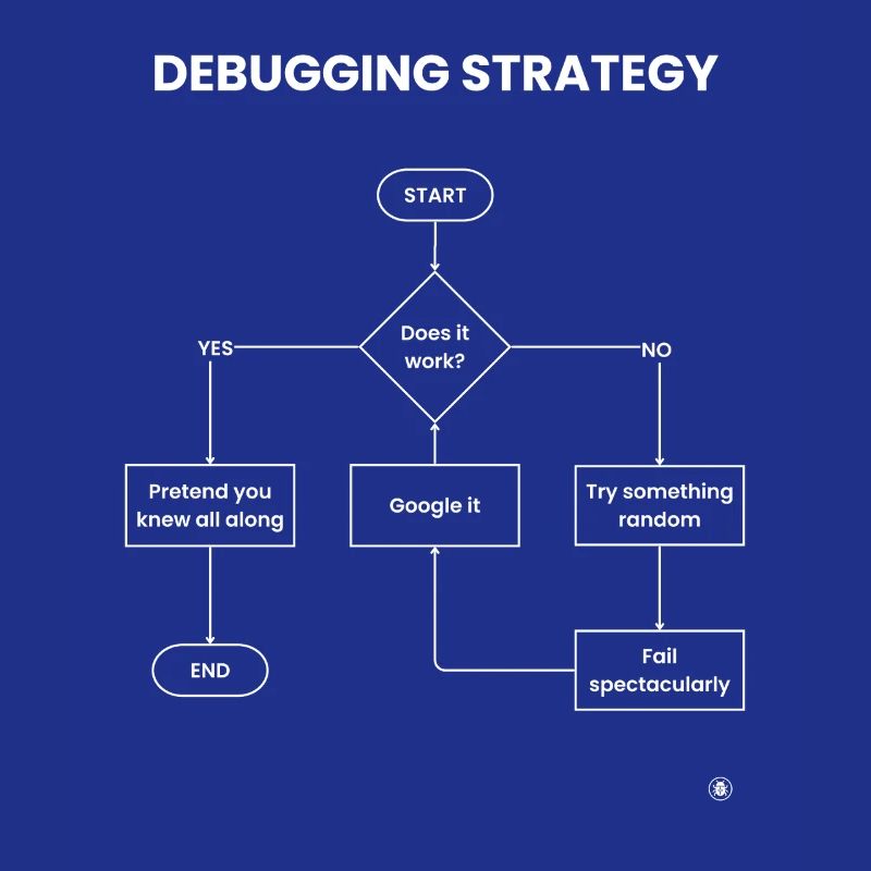 Debugging Strategy Flowchart - Does It Work Gift