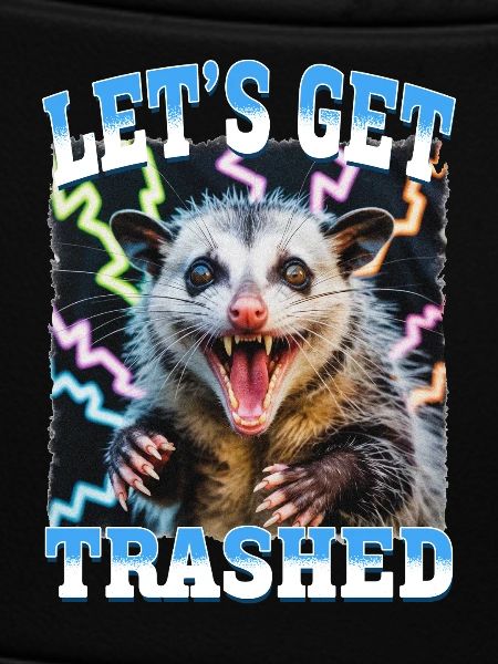 Funny Opossum