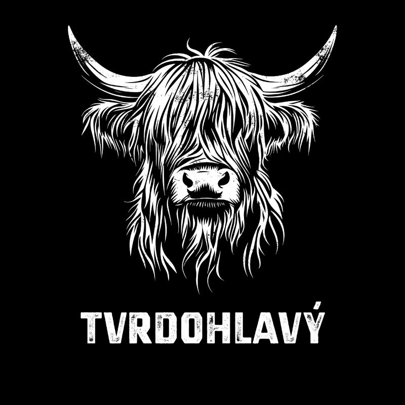 Tvrdohlavy - Scottish Highland cattle, Czech Republic