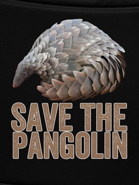 Save The Pangolin