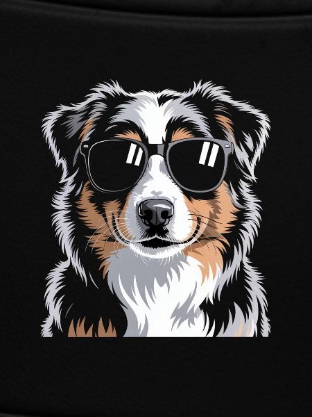 Australian Shepherd