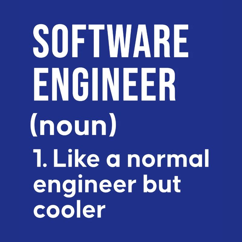 Software Engineer Spruch Shirt