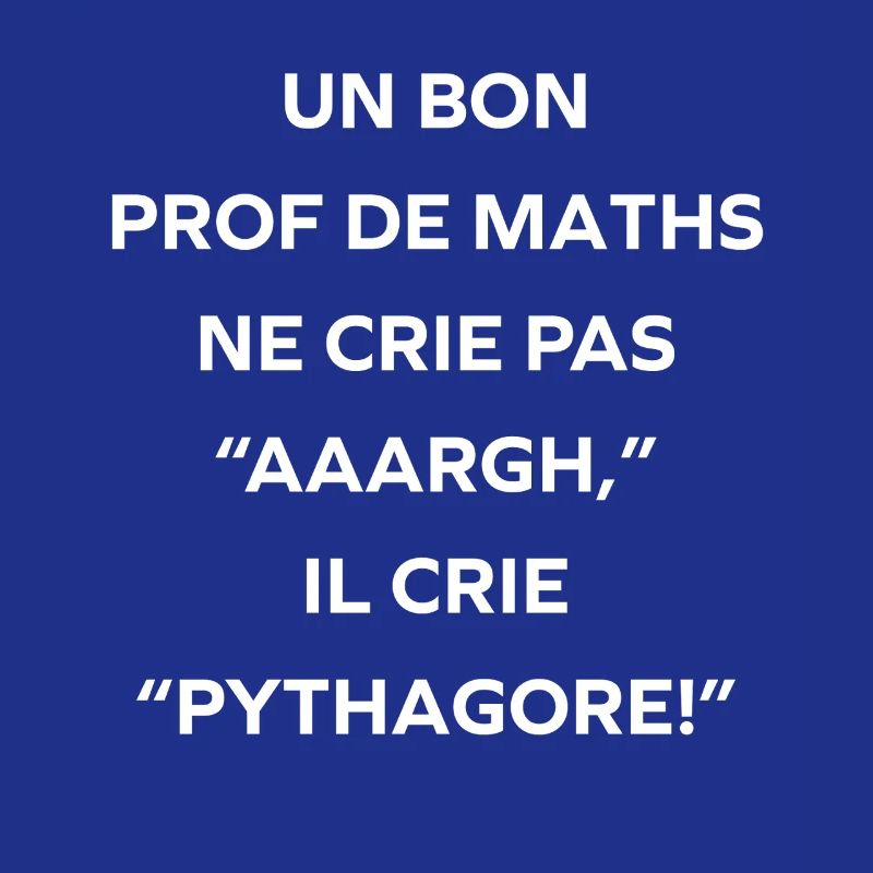 Prof de maths crie Pythagore