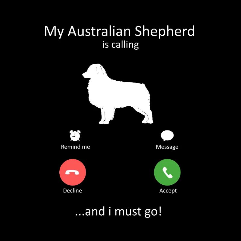 Australian Shepherd ruft, ich muss los, Hundemama.