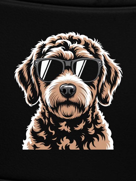 Brown Labradoodle