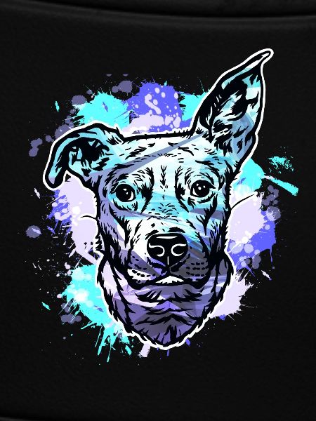 Beagle bull cross