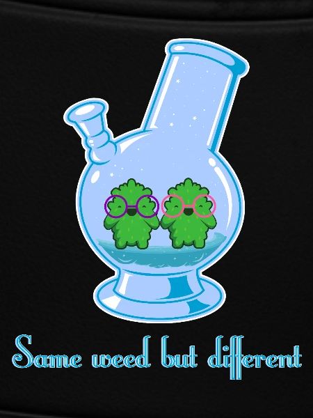 Same weed but different