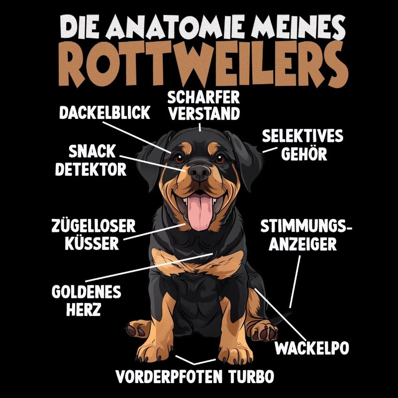 Rottweiler T für Training und Gassi Runden Rotti 