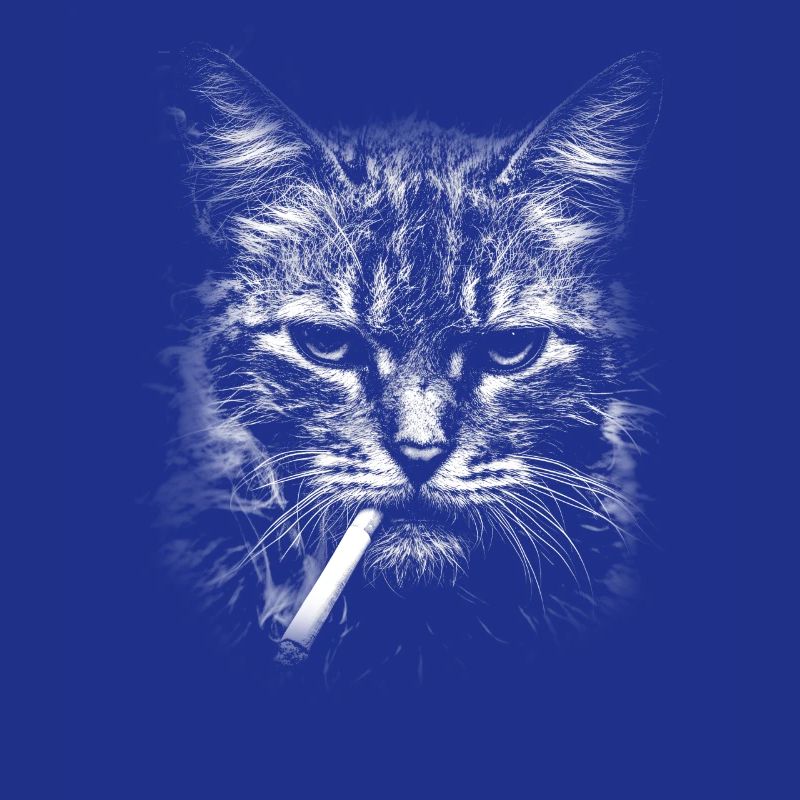 Fumer, cigarette, chat fumer une cigarette