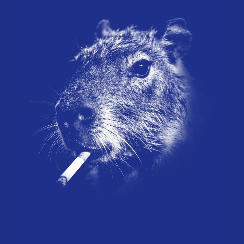 Fumer, cigarette, capybara, fumer une cigarette